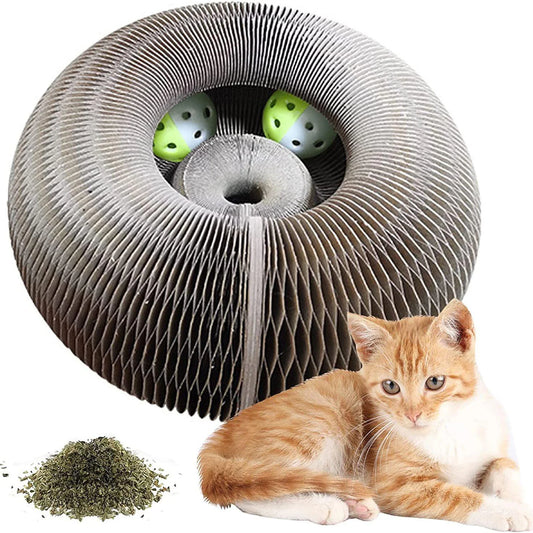 Magic Corrugated Cat Scratch Toy with Bell & Ball – Climbing Frame & Claw Sharpener