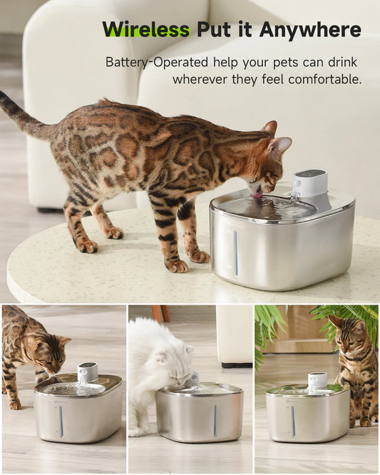 APETDOLA 4L Wireless Cat Water Fountain – Stainless Steel Pet Drinking Fountain with Motion Sensor, 3 Modes, Silent Pump & Filter – Automatic Water Dispenser for Cats & Dogs